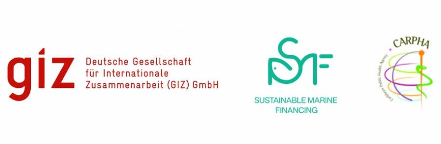 Short Term Consultancy with The Sustainable Marine Financing Programme (SMF)