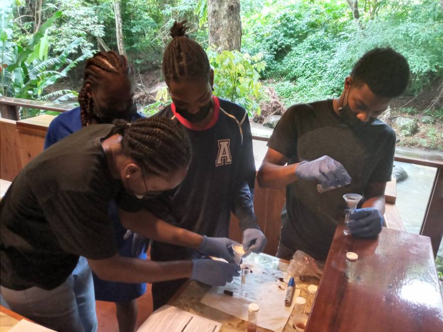 Caribbean Institute for Sustainable Island Living inspiring next generation