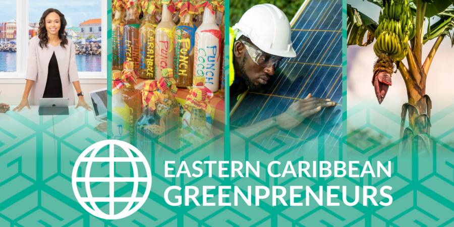 Call for Applications: Eastern Caribbean Green Entrepreneurship Accelerator Programme interest-free loan component