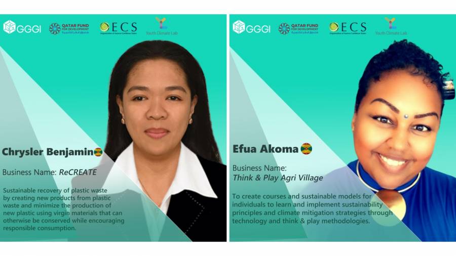 Two Grenadians win in Greenpreneurs Business Plan Competition