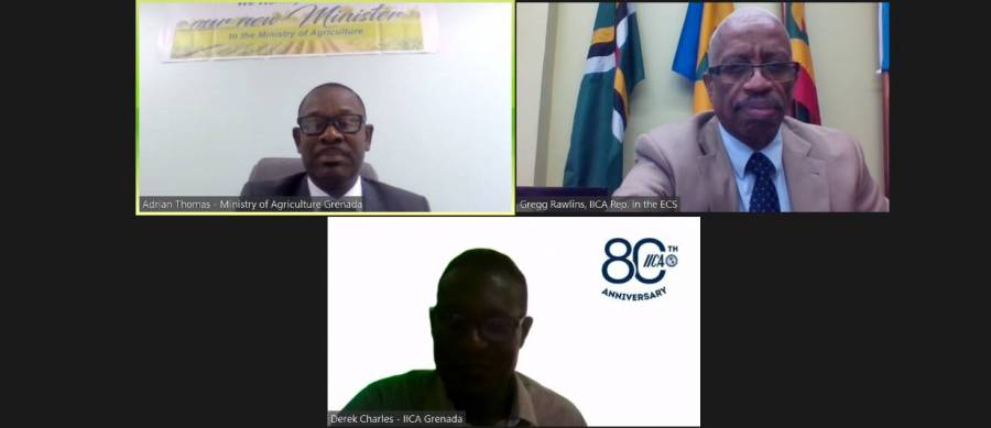 Agriculture minister discusses improved collaboration with IICA–ECS