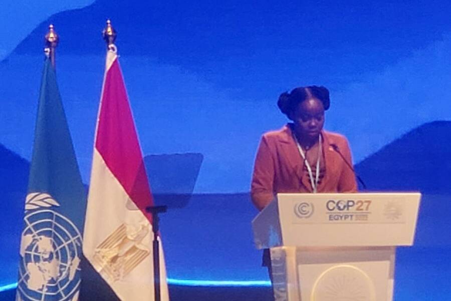 Hon. Kerryne James attends COP 27