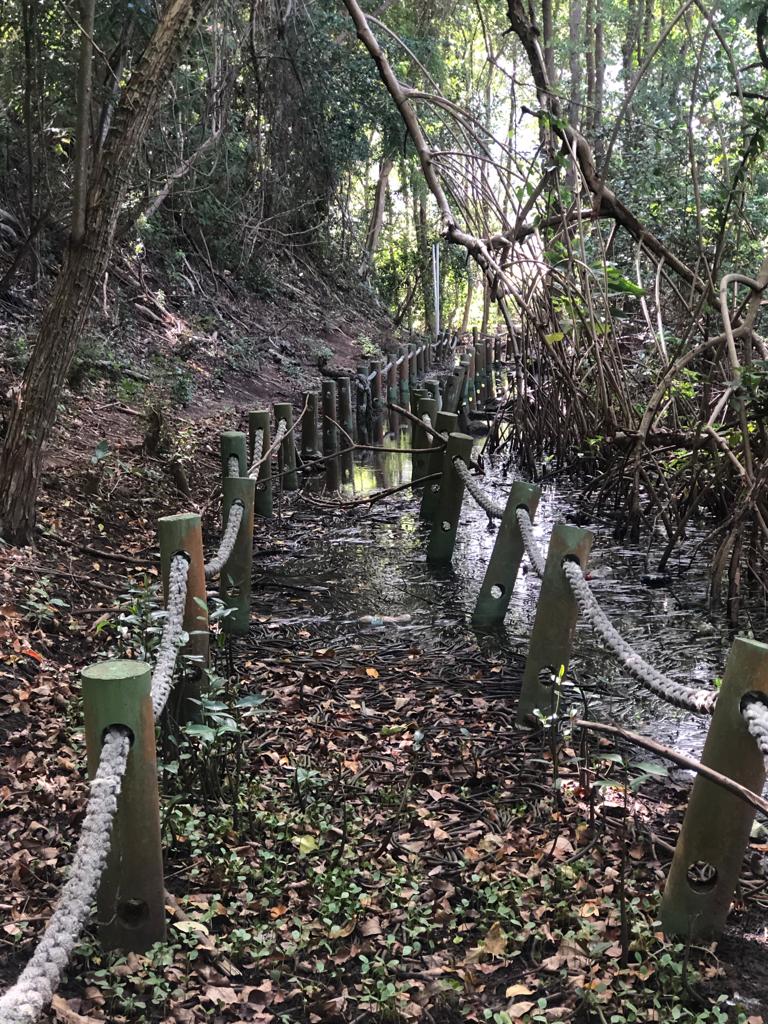 Boardwalk at Levera National Park under water