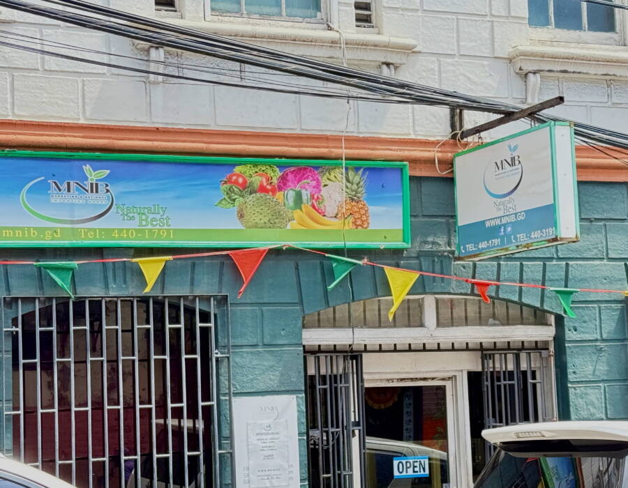 Government advances reform of MNIB