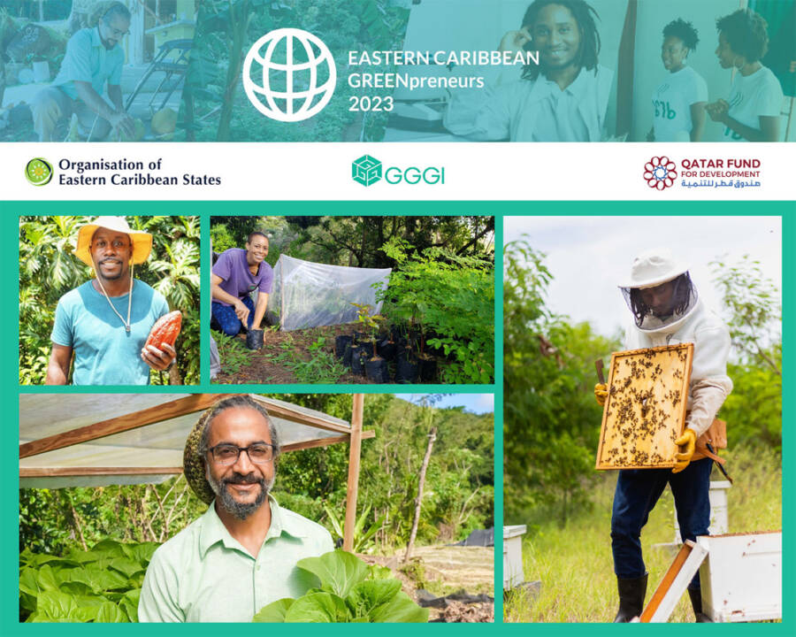 Call for applications: EC Greenpreneurs Incubator Programme