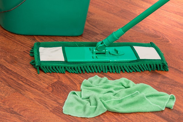 Regional countries urged to recognise and protect domestic workers