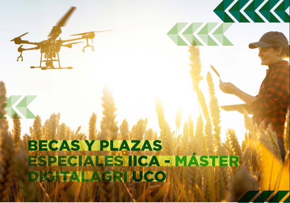 3 tuition scholarships for IICA digital agri master’s programme