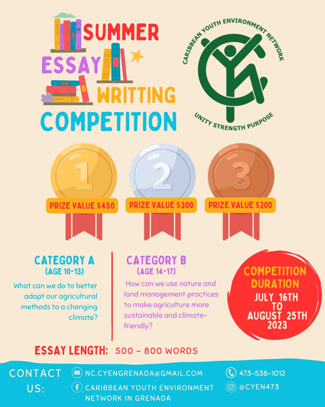 summer school essay competition