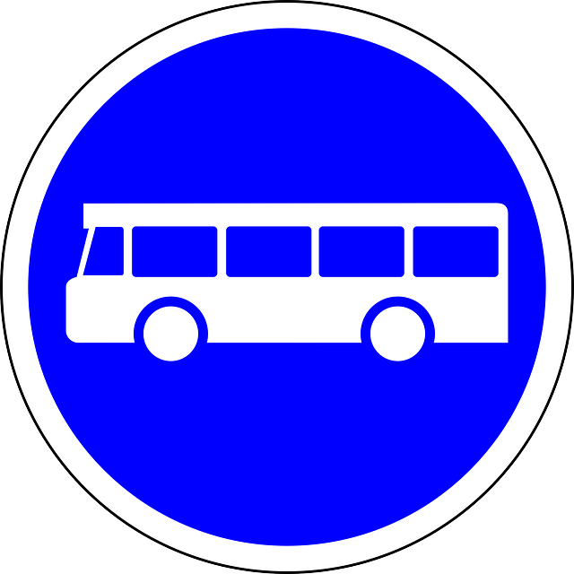 Grenada Transport Commission: Career Opportunity – CEO