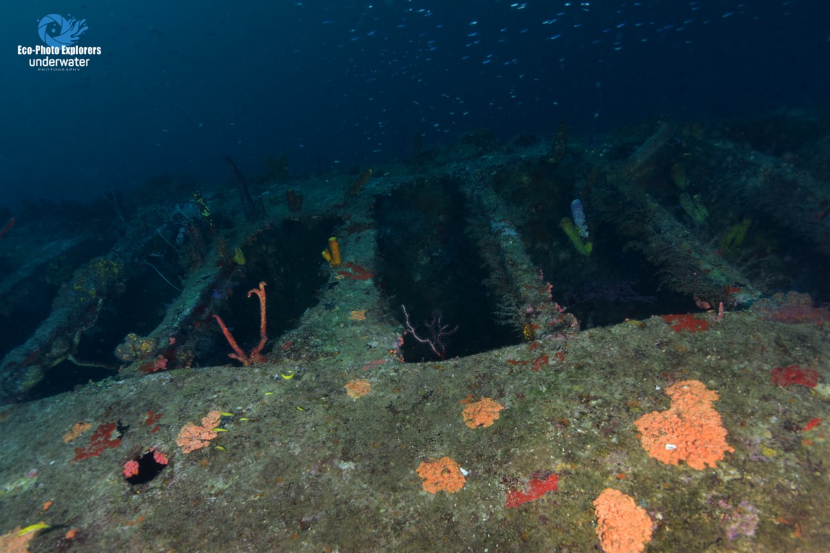 Scuba Diving the Spice Island of Grenada