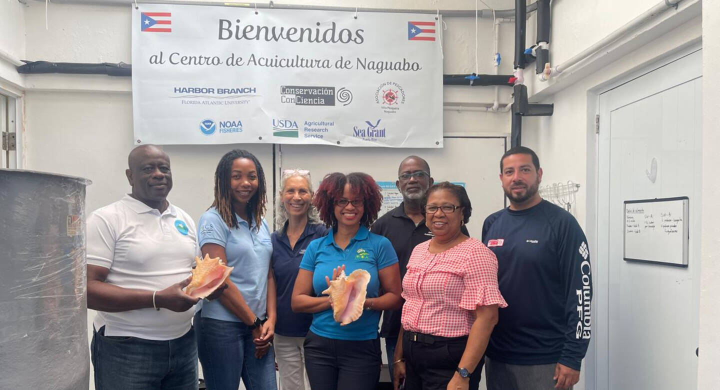 OECS Fisheries Officers focus on conch nursery feasibility in Puerto Rico