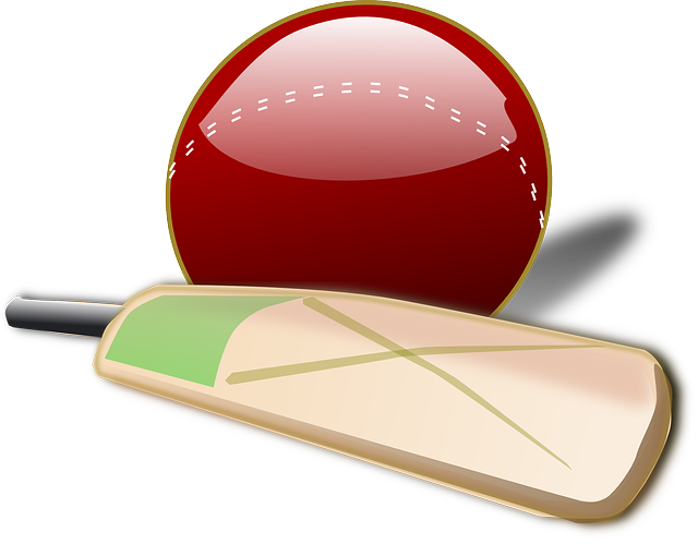 Primary Schools’ Cricket Festival to commence Thursday