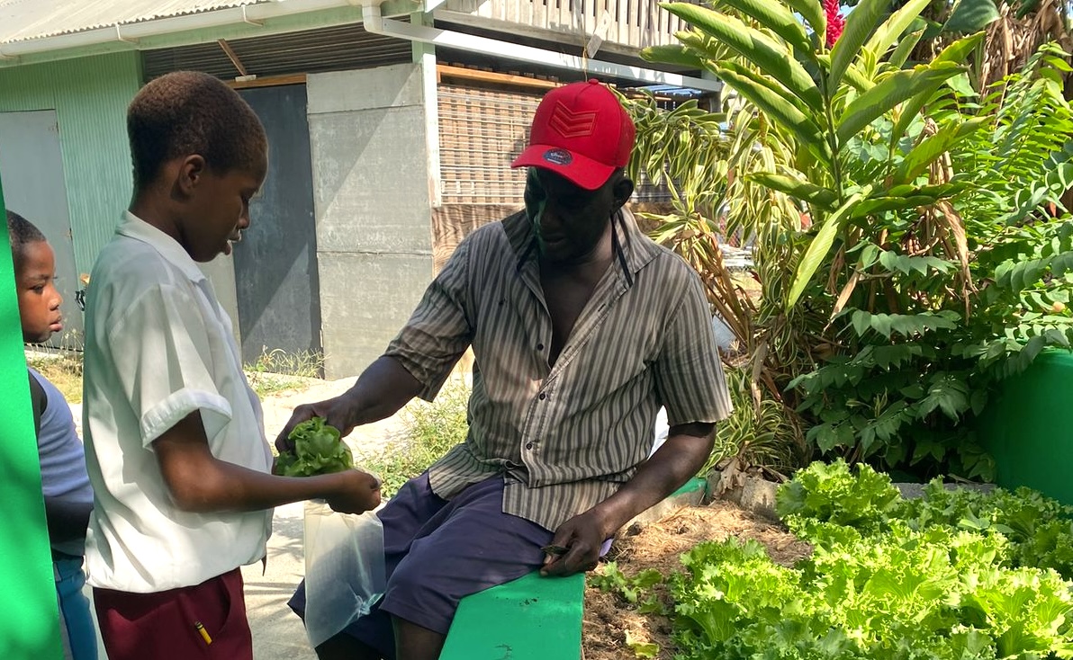 MontGava and Sandals Foundations community farming project