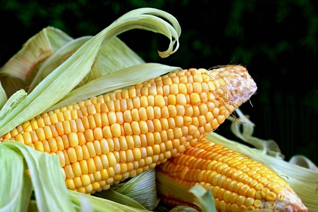 Foods that promote healthy vision
