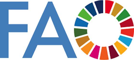 FAO supports Caribbean governments after impact of Hurricane Beryl