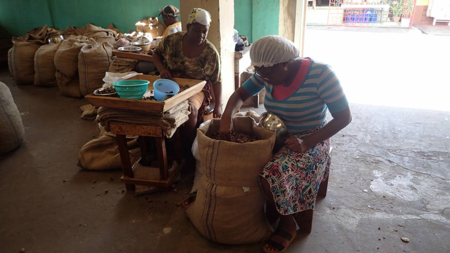 Swift response to effects of hurricane Beryl in Grenada
