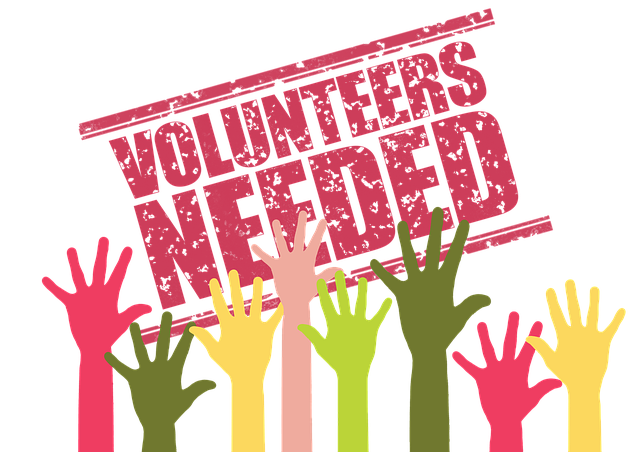 Call for volunteers for Hurricane Beryl relief efforts