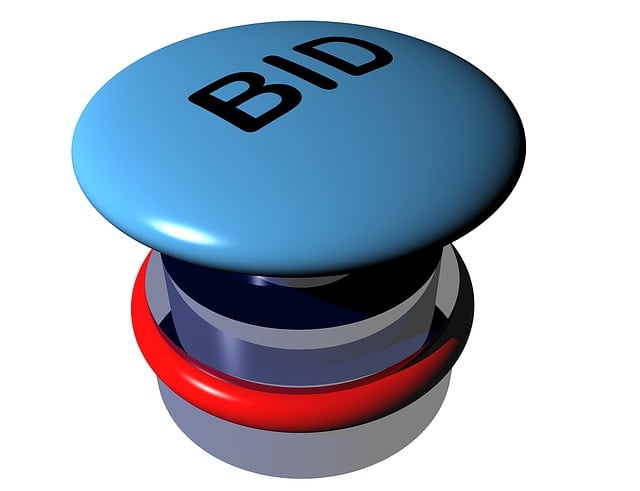 Government raises EC$20 million on regional market