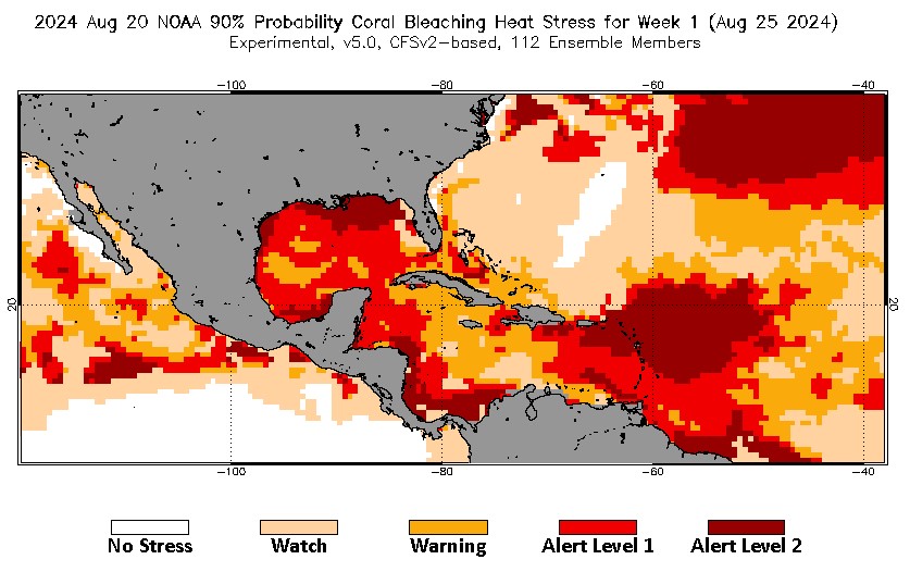 Severe coral bleaching threatens Caribbean reefs
