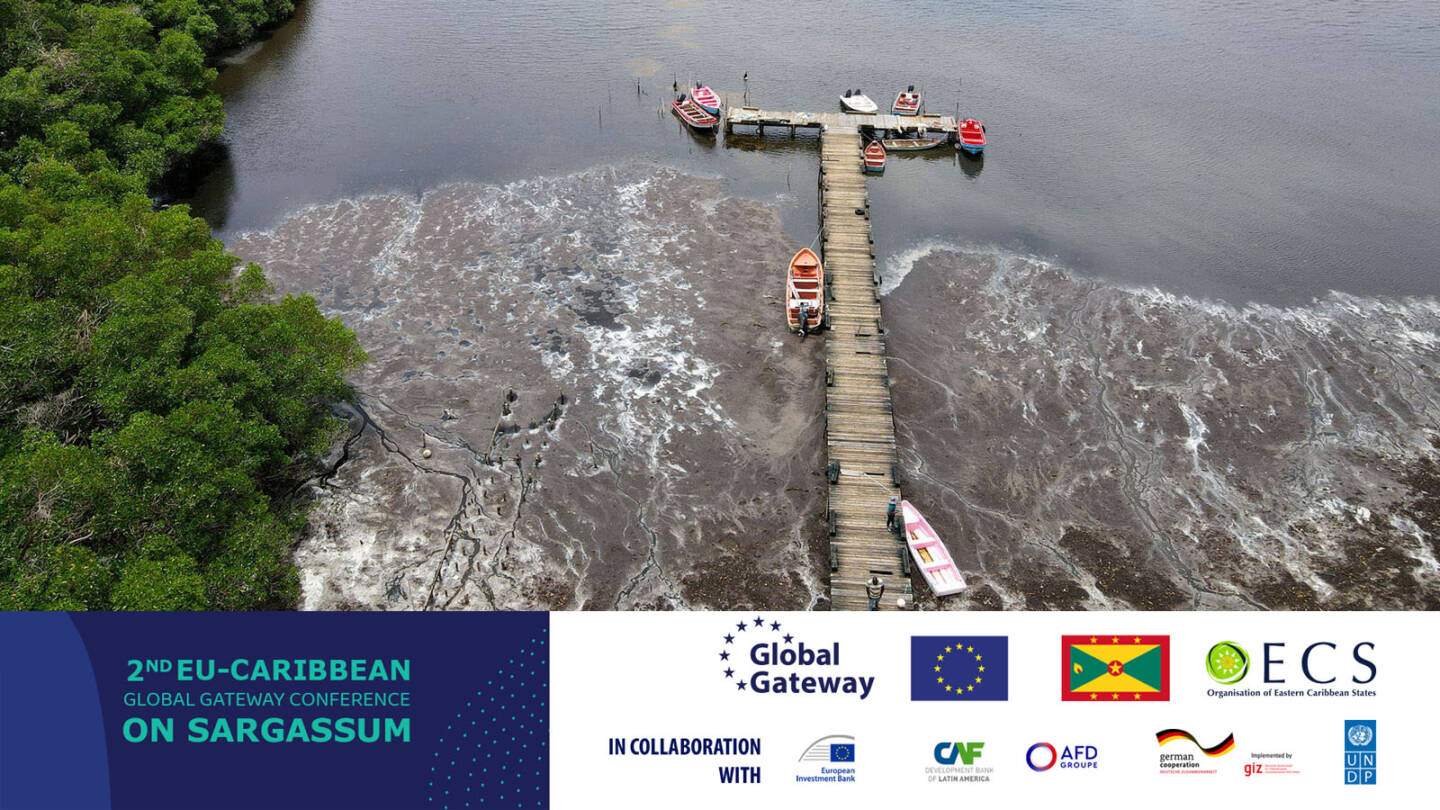 Grenada hosts EU–Caribbean Global Gateway Conference on Sargassum