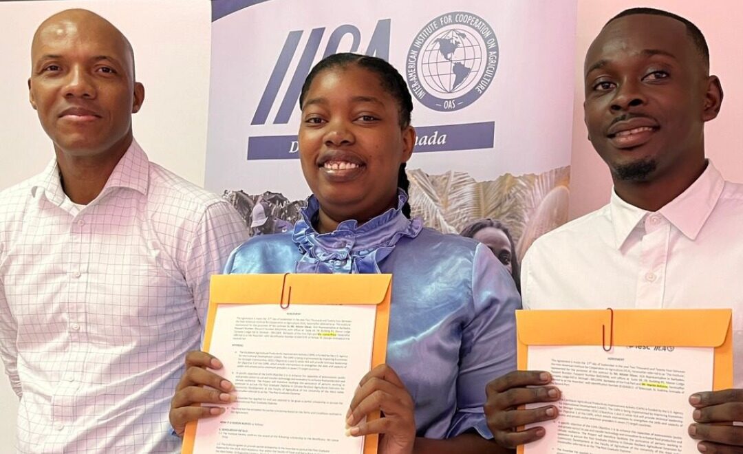 IICA Grenada awards scholarships for Climate Resilient Agriculture