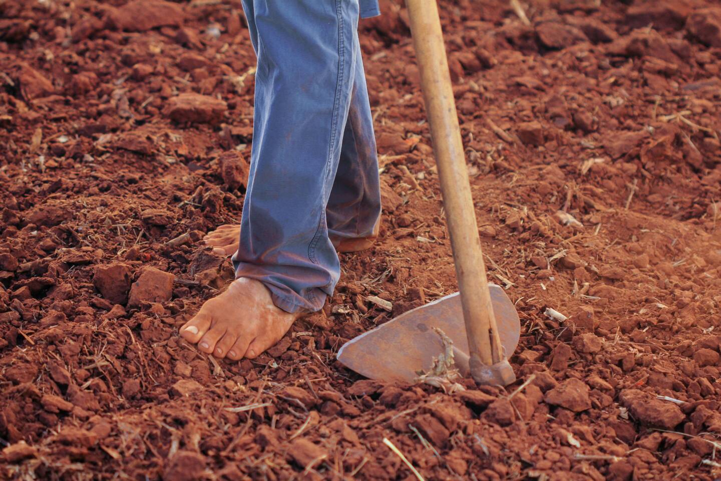 Payment of income support to farmers on mainland Grenada