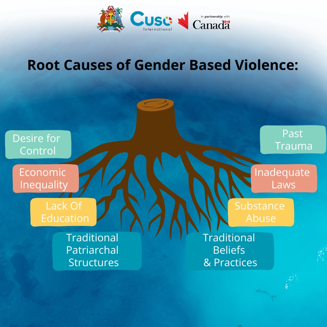 Grenada hosts inaugural GBV Power of Partnership Business Forum