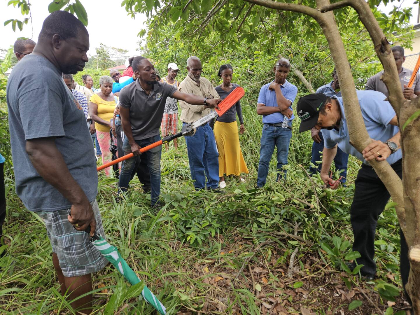 Grenada soursop farmers and technicians undergo comprehensive training