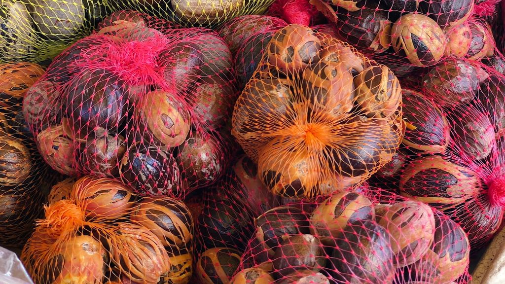 5 things to do on your first (or next) visit to Grenada