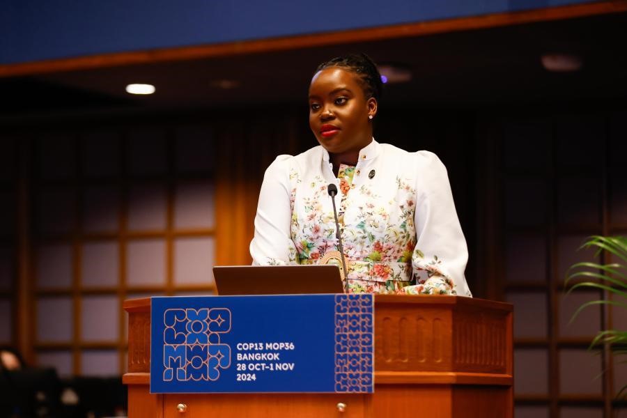 Hon. James appointed President of Bureau by Parties to Montreal Protocol