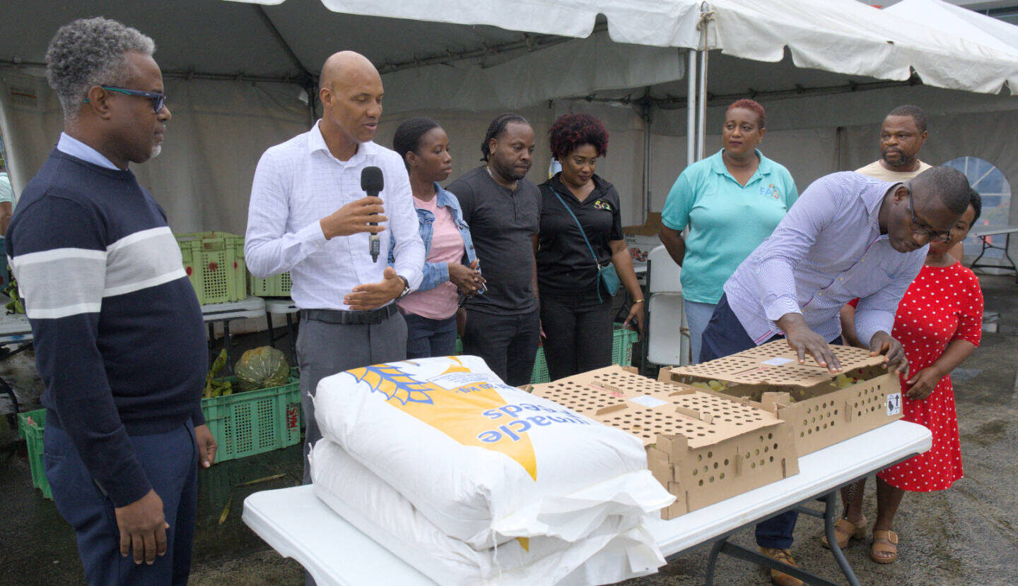 IICA supports poultry farmers in Grenada and Carriacou