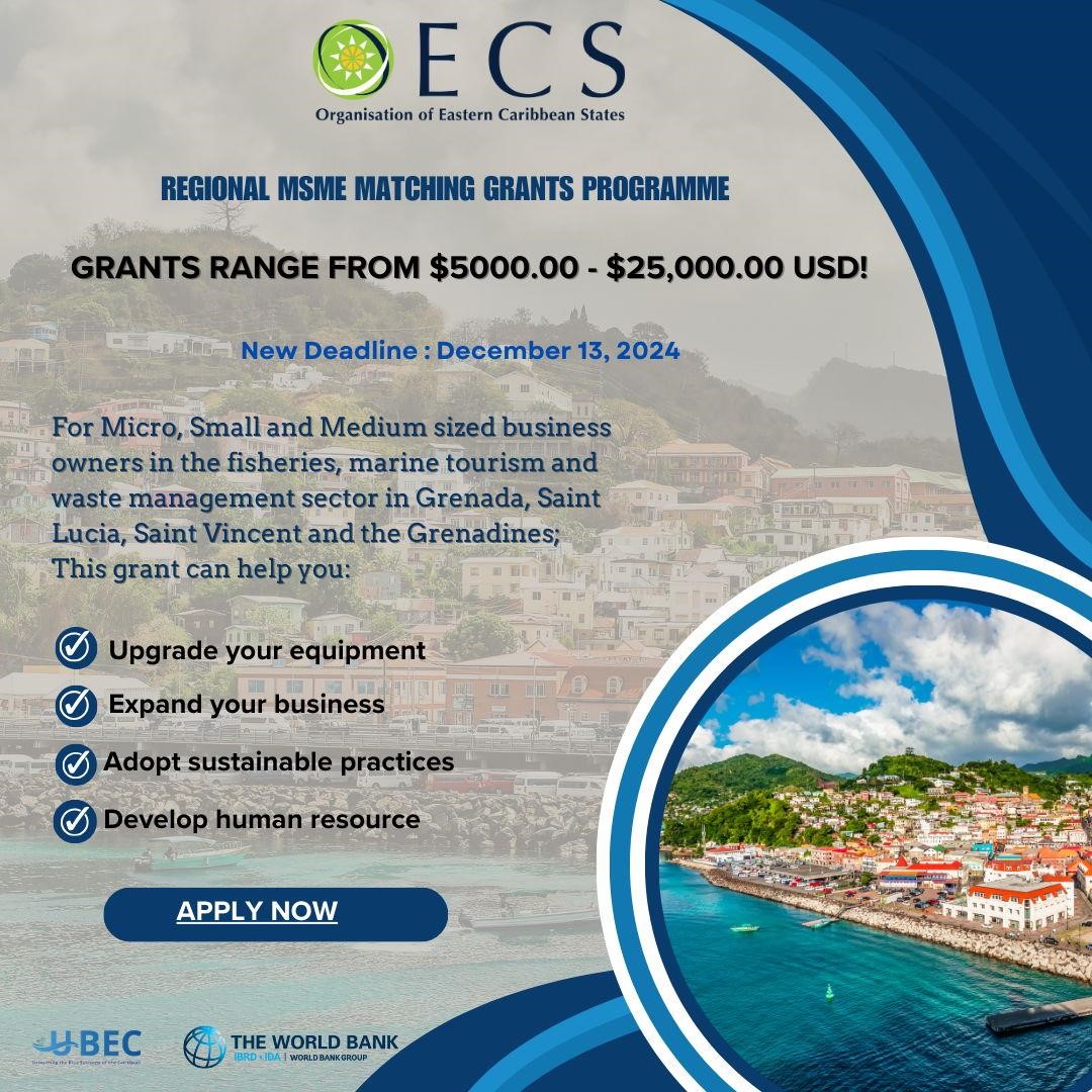 Regional MSME Matching Grants Programme deadline 13 December