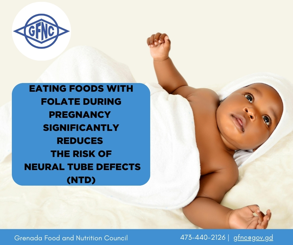 Lack of folate can cause birth defects
