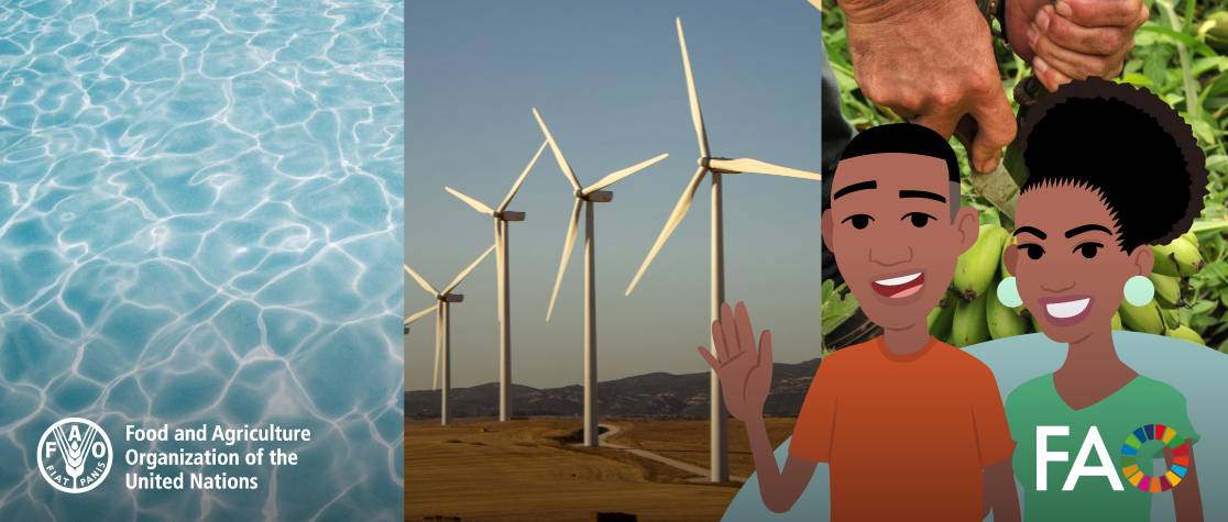 FAO offers free Water Energy Food Nexus e-course