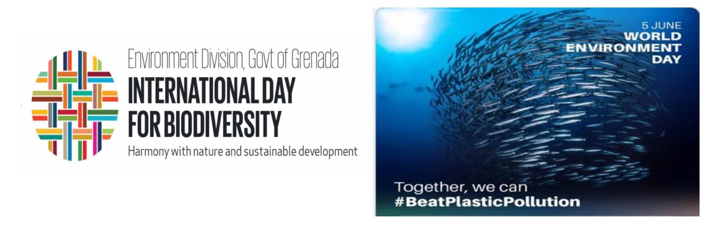 Celebrate International Day for Biodiversity & World Environment Day 2025!