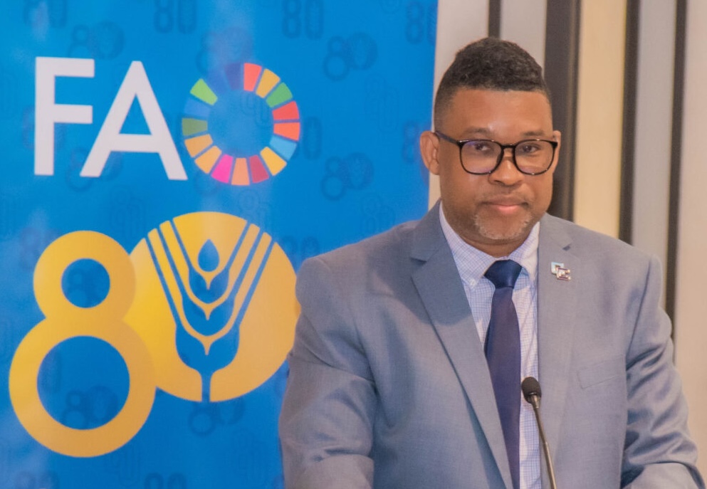 Food security and nutrition in focus at statistics workshop