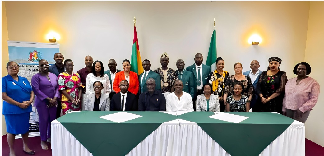 Welcome ceremony for Nigerian medical specialists