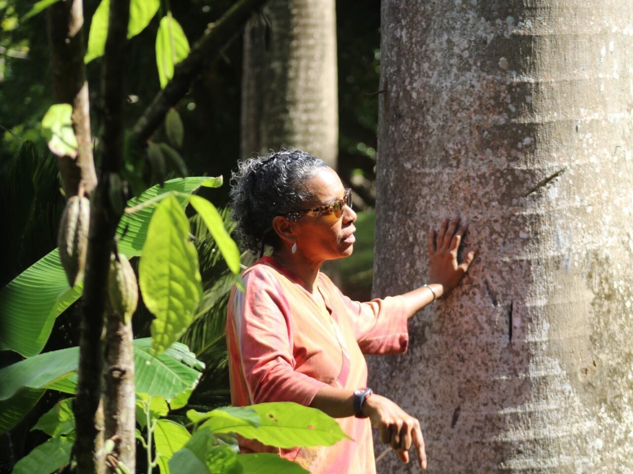 ITC cocoa training to advance Grenada’s Fine-Flavour Chocolate Industry