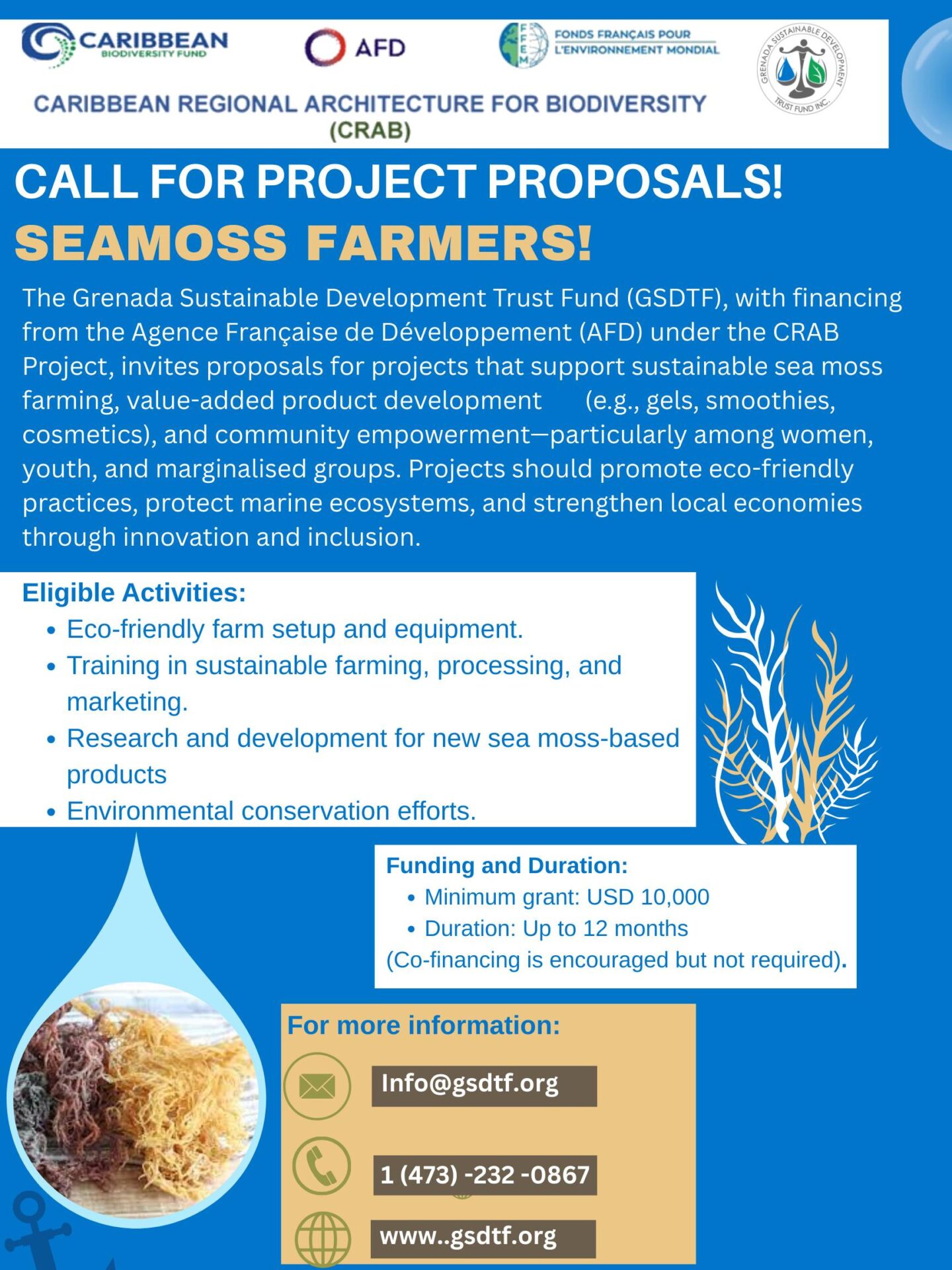 Call for Project Proposals: Sea Moss Farmers!