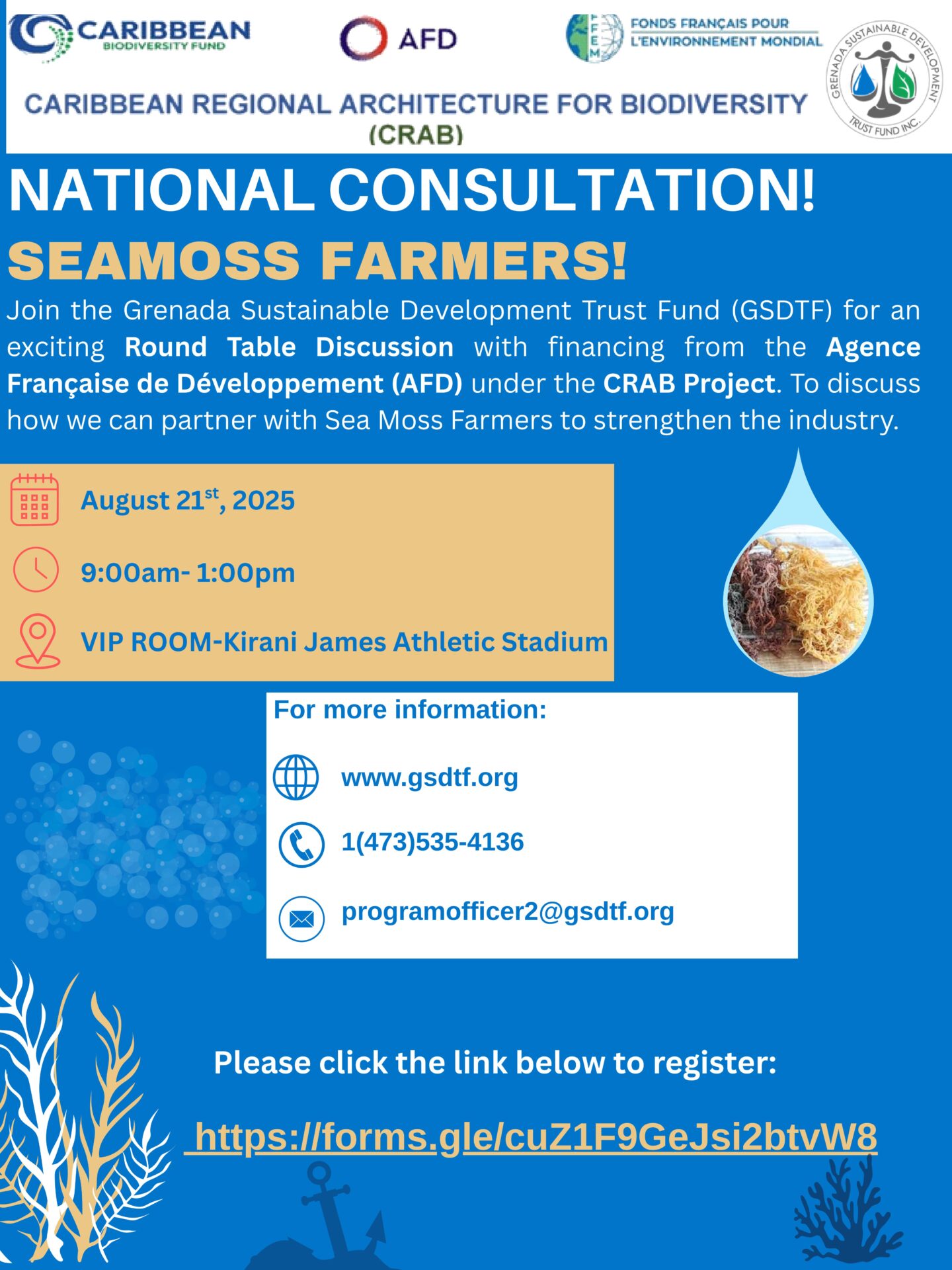 Grenada Sustainable Development Trust Fund to host sea moss roundtable