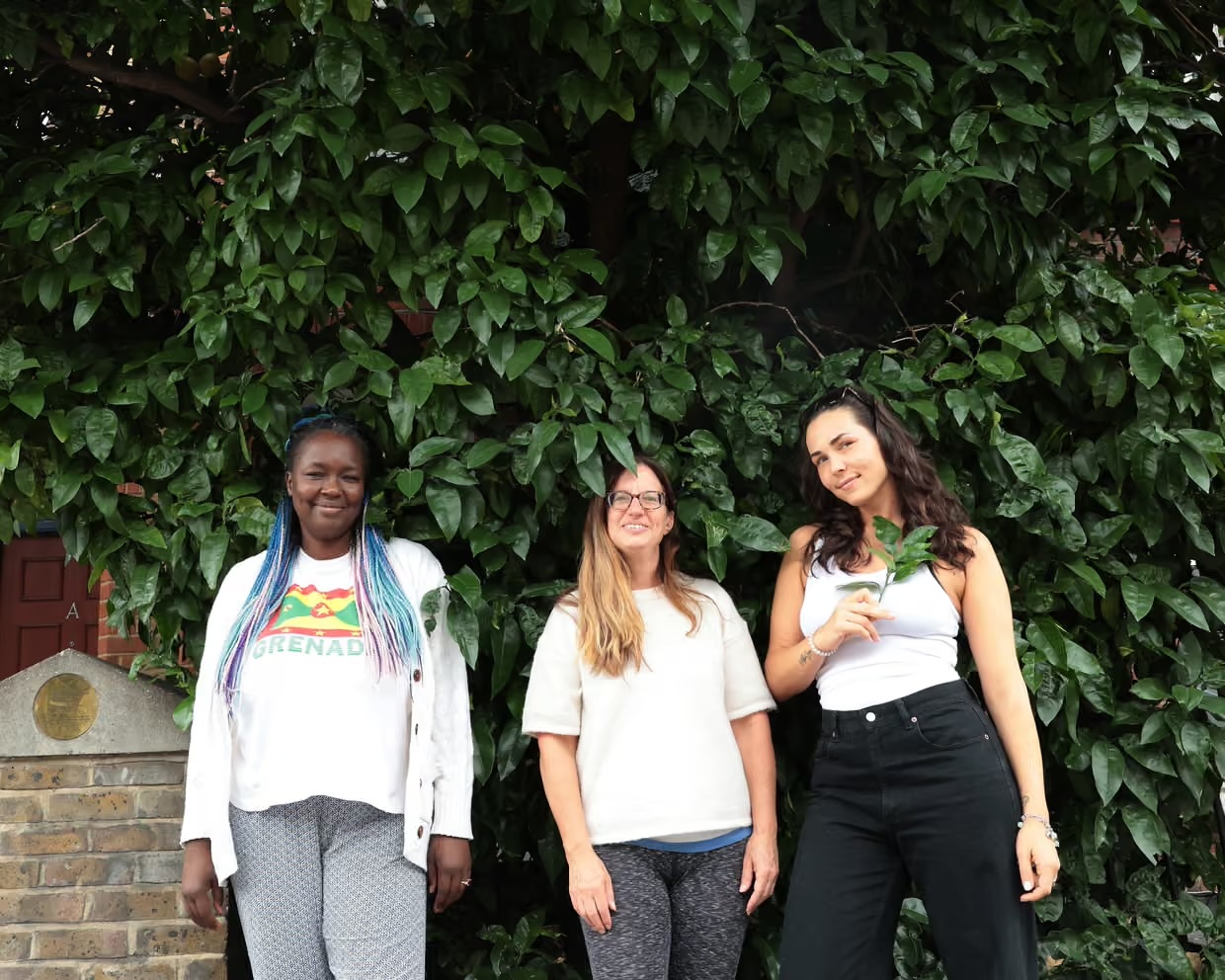 Gift from Grenada: Grapefruit trees win protection after London campaign