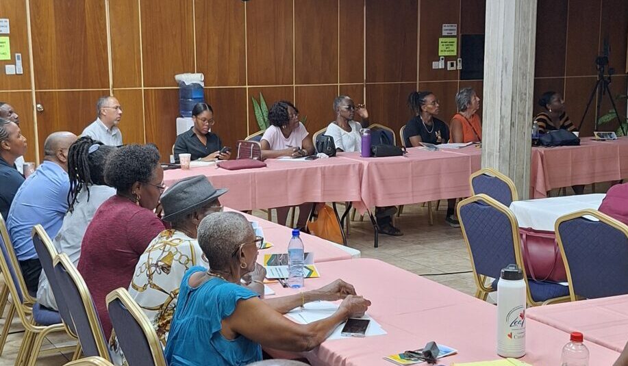 Launching Grenada’s toolkit for Citizen Participation