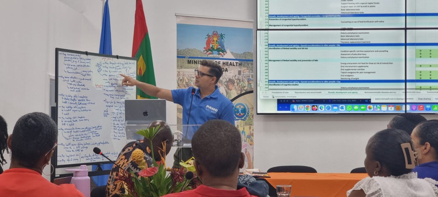 Grenada and PAHO strategic service mapping consultation