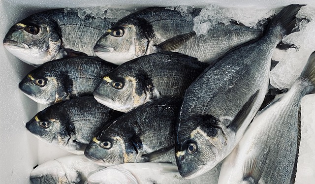 Understanding the ban on fish exports from Grenada to US