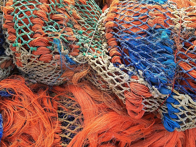 Ministry of Blue Economy and Marine Affairs fishing consultations