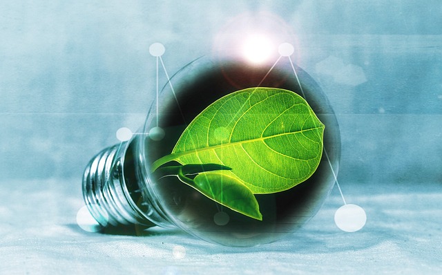Self-Generation Regulations to support climate-smart initiatives