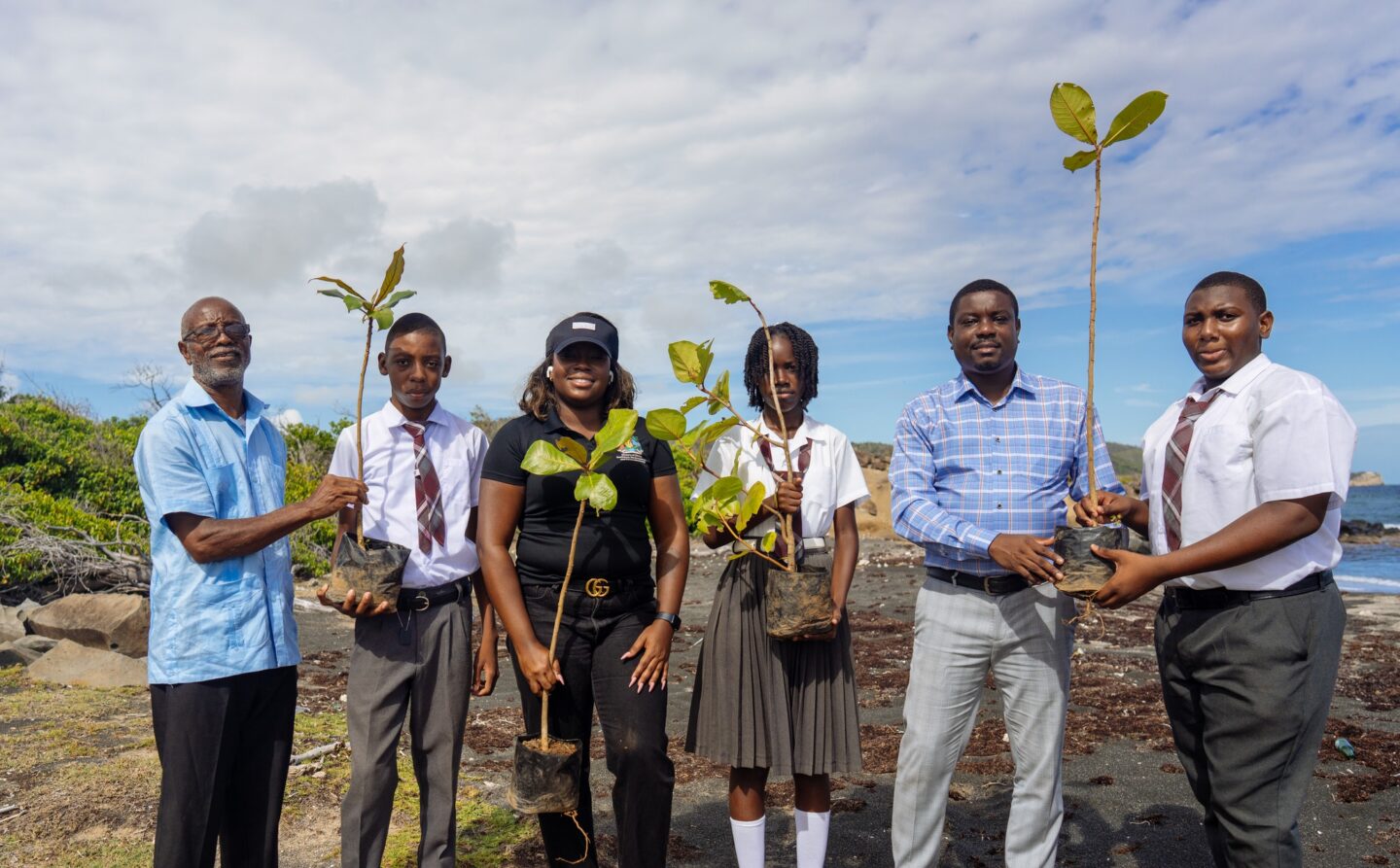 Carry a Tree to Carriacou:
