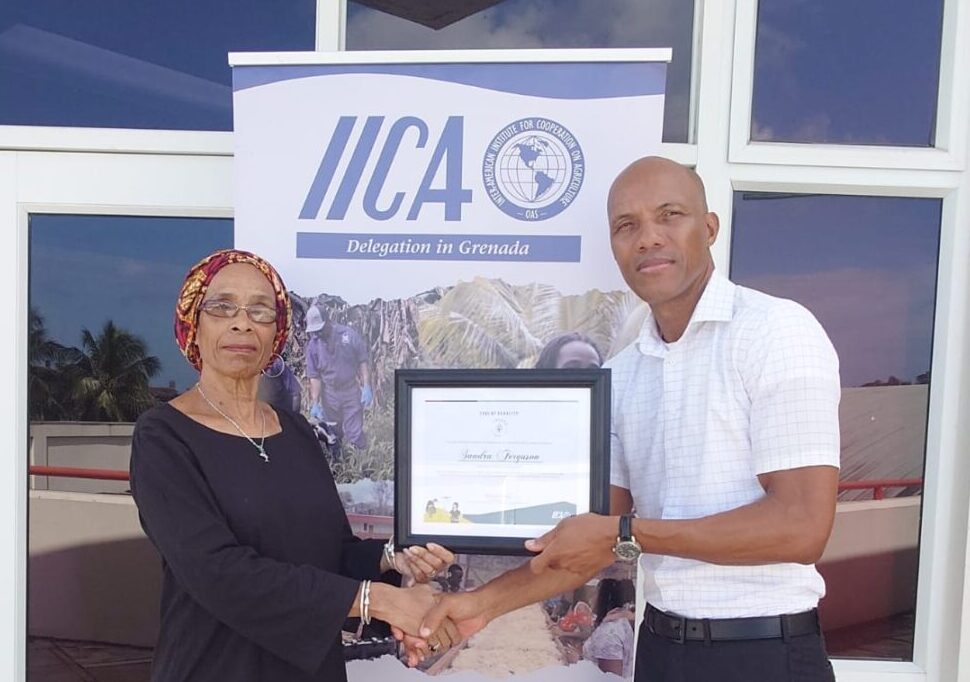 Sandra Ferguson honoured as IICA Leader of Rurality of the Americas