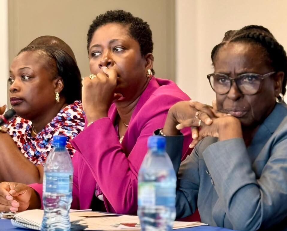 PAC told it’s the most important committee in Parliament