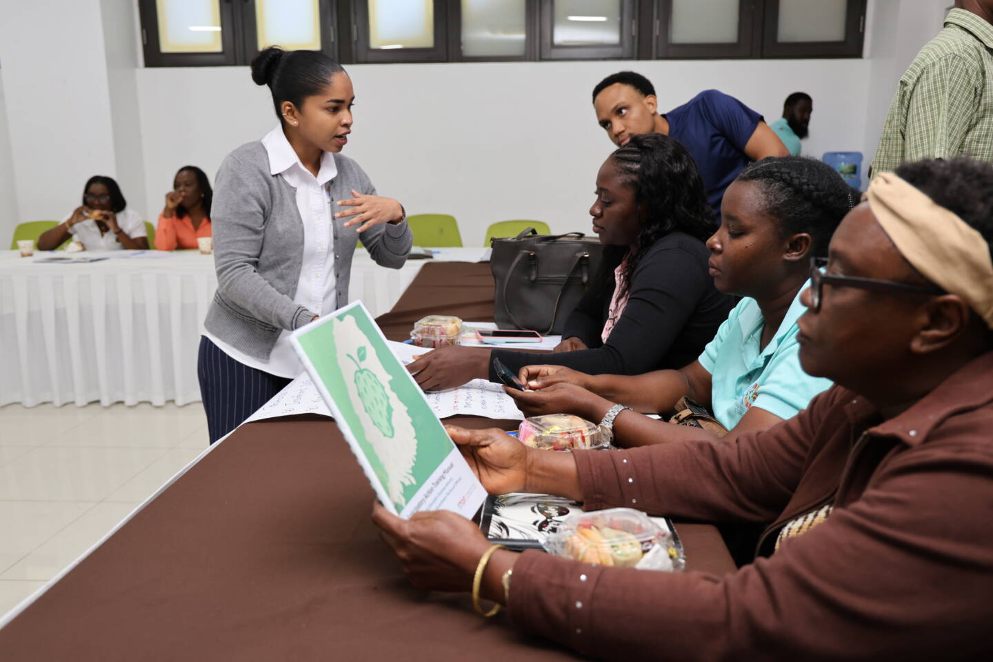 FAO strengthens protections for Grenada’s US$2.6m soursop industry